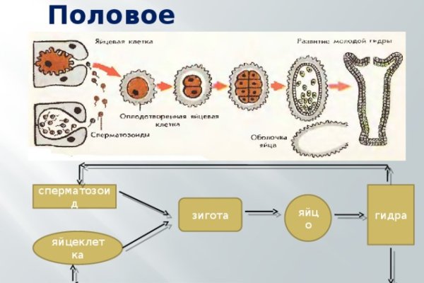 Как зайти на блэкспрут через тор