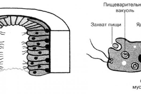 Адрес даркнета