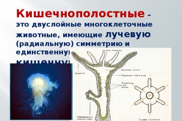 Блэкспрут оригинал