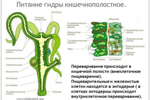 Ссылка com блэкспрут