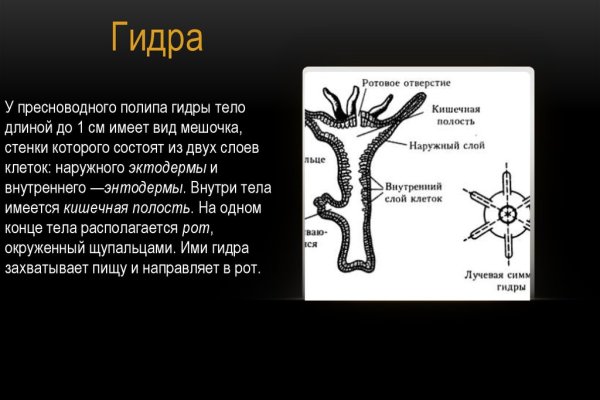 Рабочая ссылка на кракен